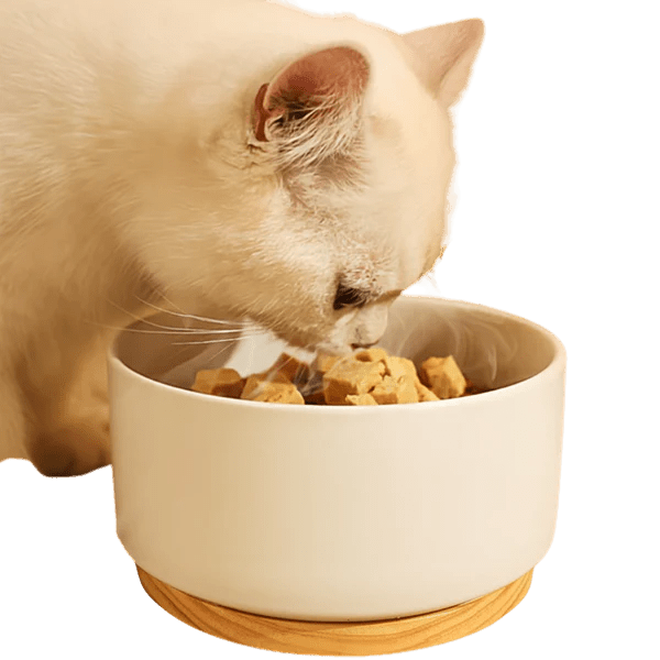 CAT FOOD - MeowMart