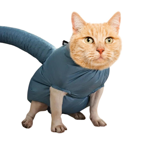 Astronaut Drying Suit - MeowMart