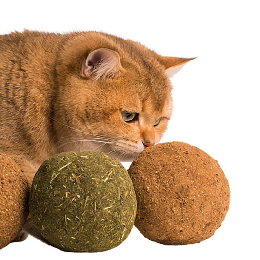 Attractive Catnip Ball - MeowMart