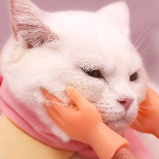 Hands Design Finger Cover Cat Teaser 6PCS - MeowMart