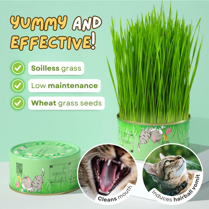 Healthy Fresh Canned Cat Grass
