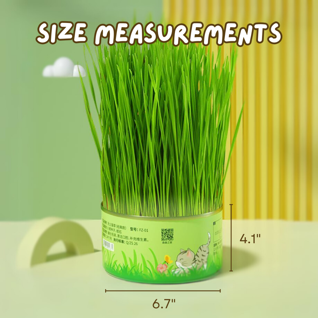 Healthy Fresh Canned Cat Grass